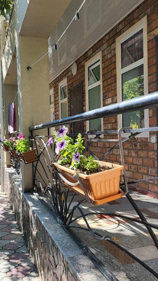 Гостевой Дом Асель Cholpon-Ata Ngoại thất bức ảnh